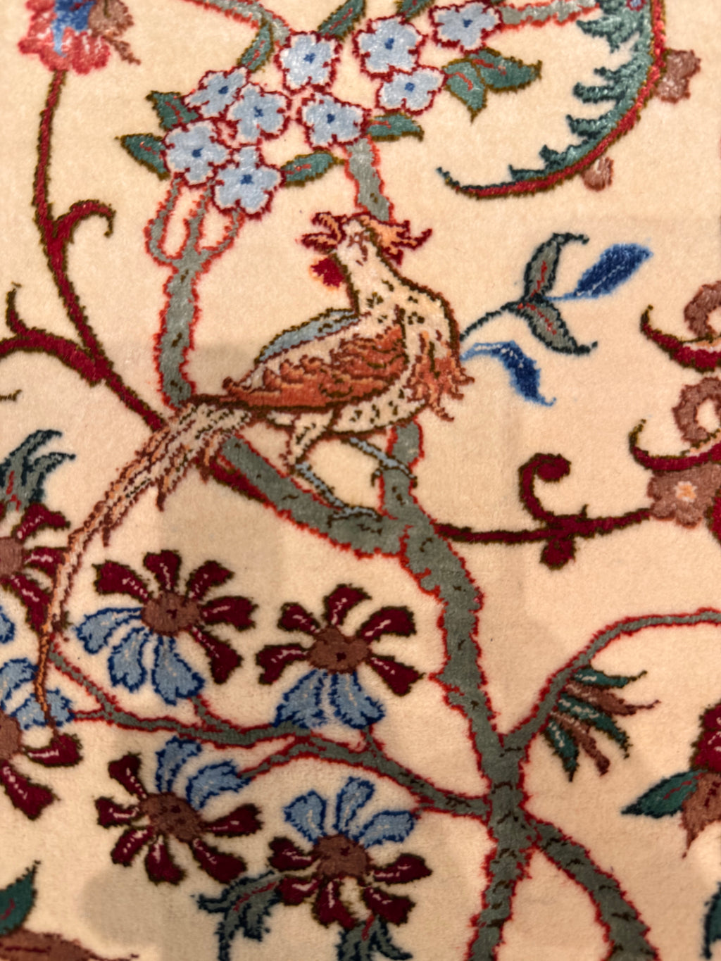 Close-up of an intricately designed rug with floral and bird patterns.